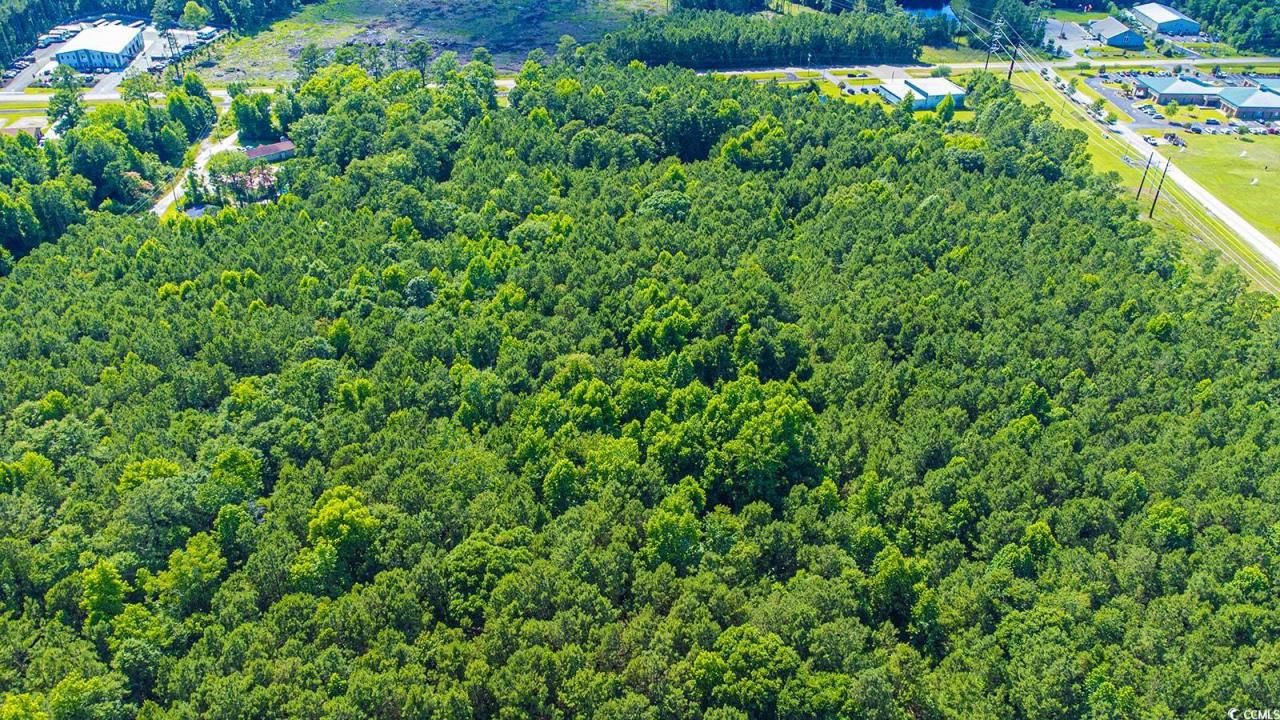 Tbd Scipio Ln. Photo 6