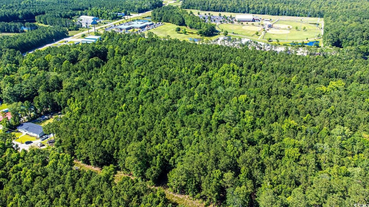 Tbd Scipio Ln. Photo 9