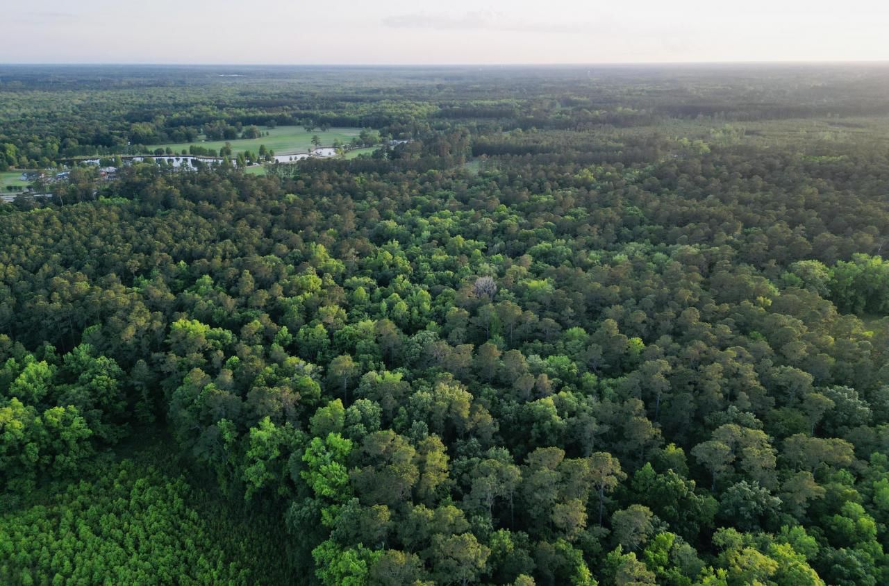 00 Fivel Lane Photo 13