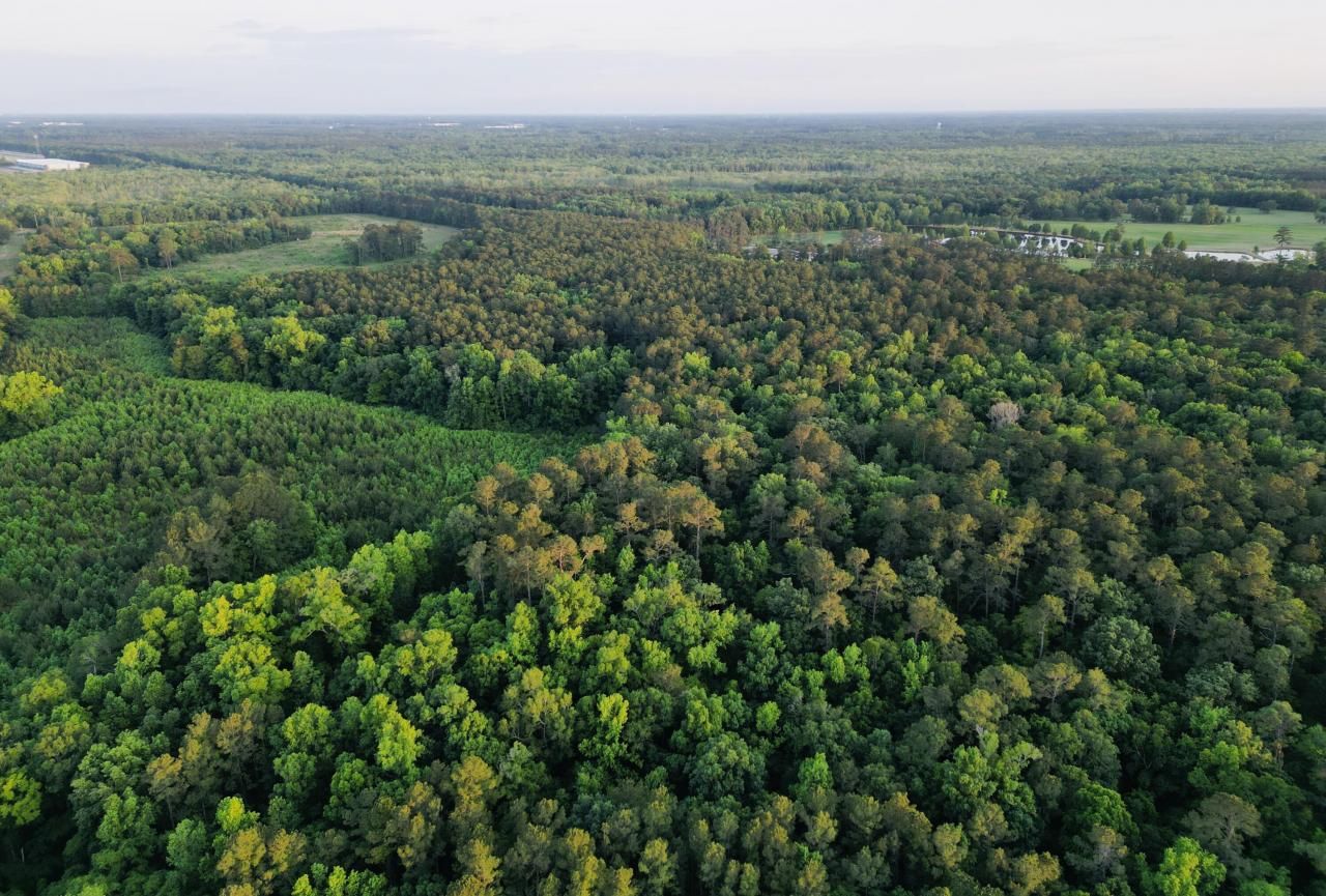 00 Fivel Lane Photo 14