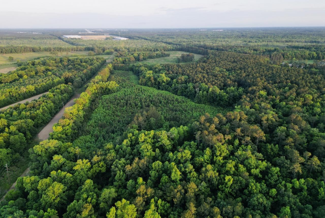 00 Fivel Lane Photo 15