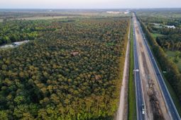 00 Fivel Lane photo 4