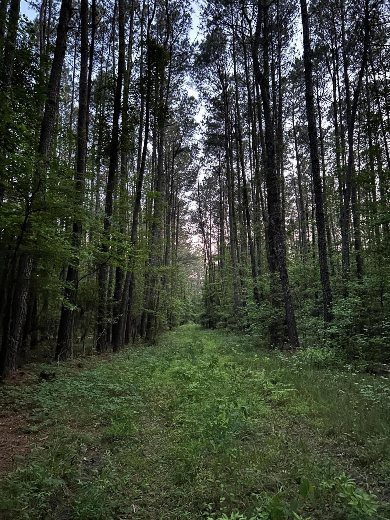 00 Fivel Lane Photo 29