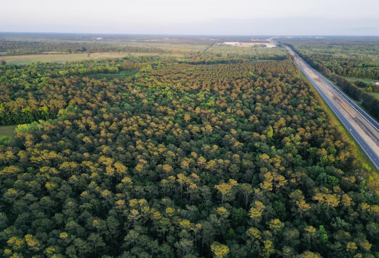 00 Fivel Lane Photo 3