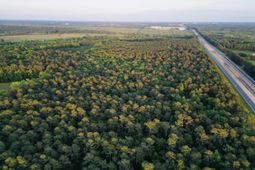 00 Fivel Lane photo 4