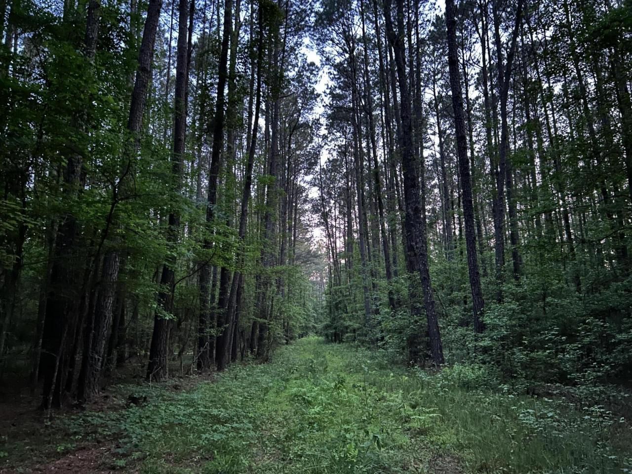 00 Fivel Lane Photo 30