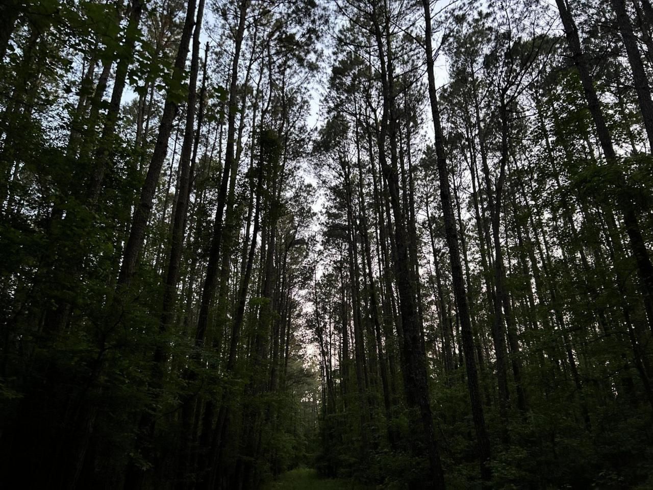 00 Fivel Lane Photo 31