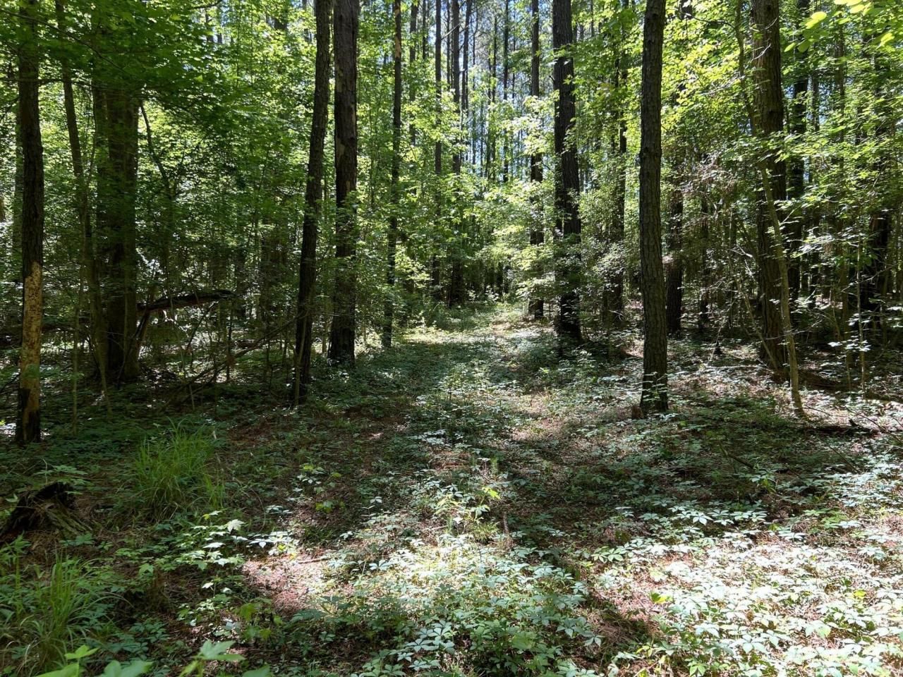 00 Fivel Lane Photo 32