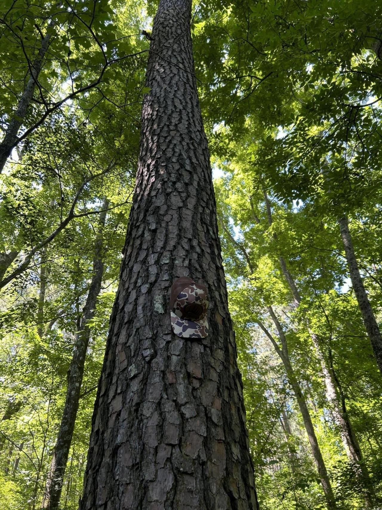 00 Fivel Lane Photo 33