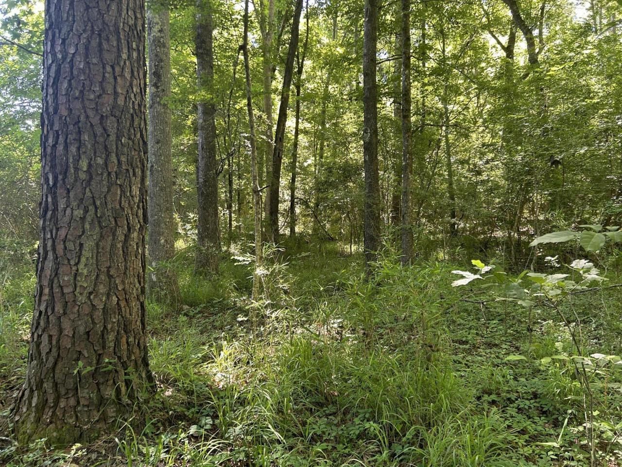 00 Fivel Lane Photo 34