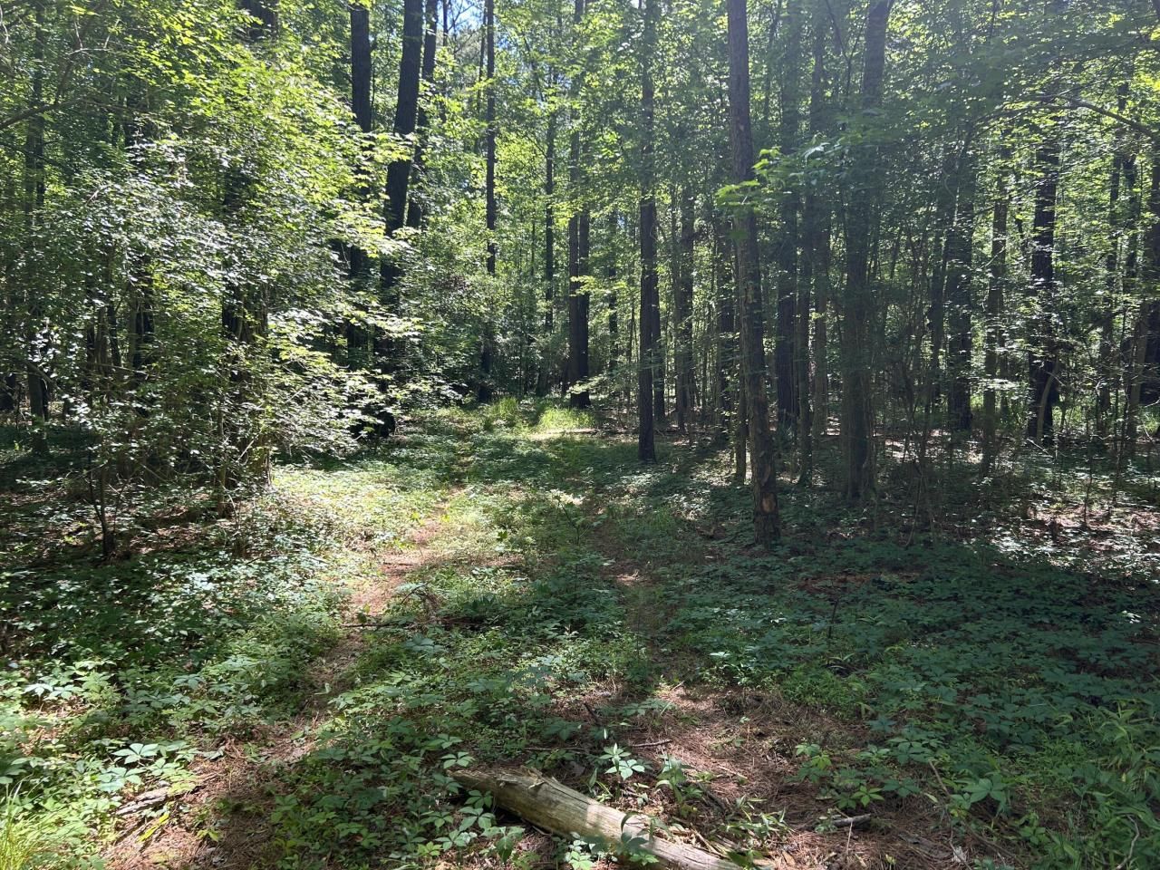 00 Fivel Lane Photo 35