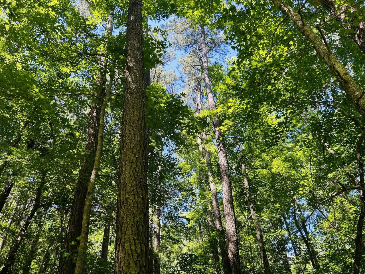 00 Fivel Lane Photo 36