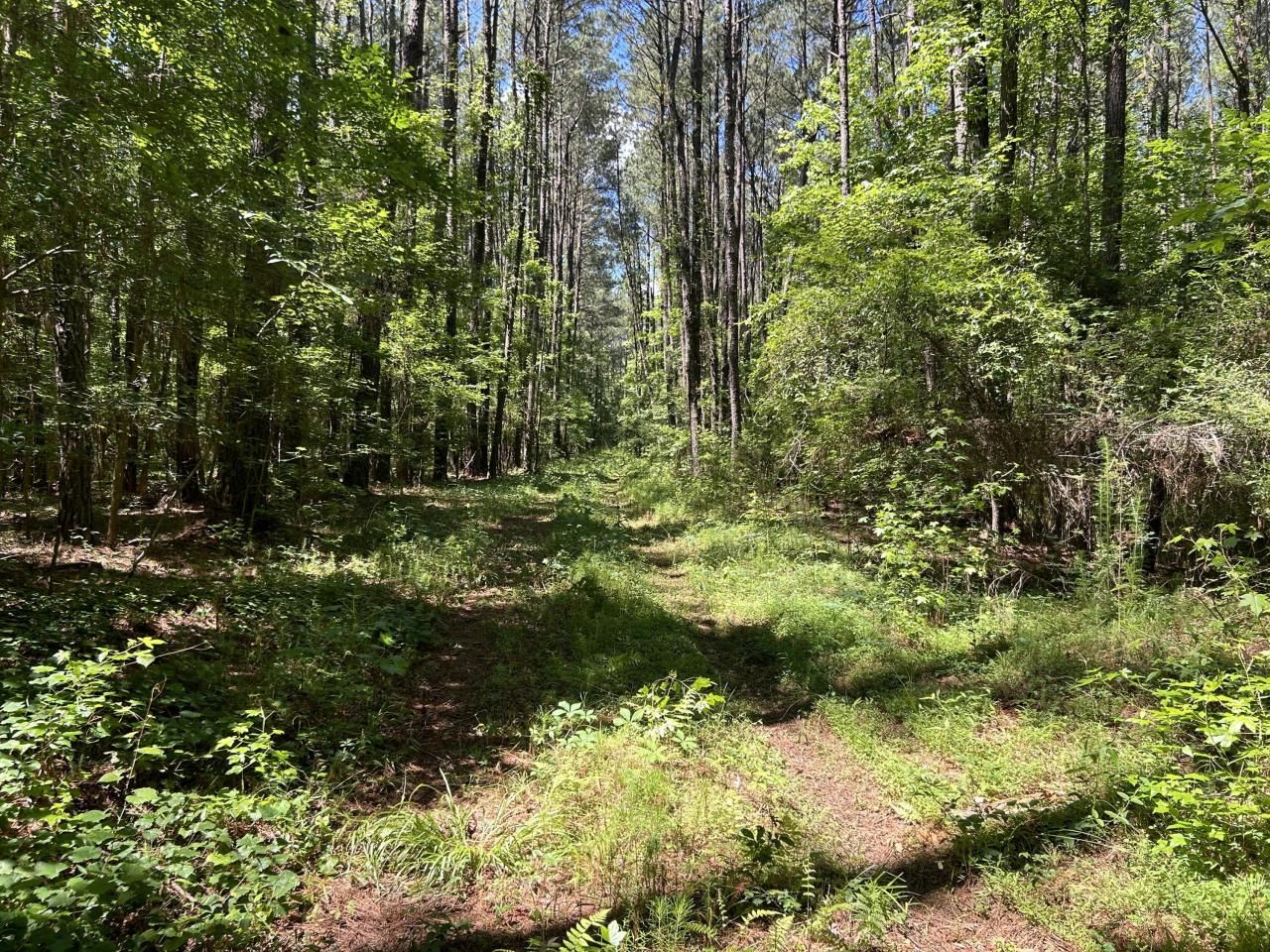 00 Fivel Lane Photo 37