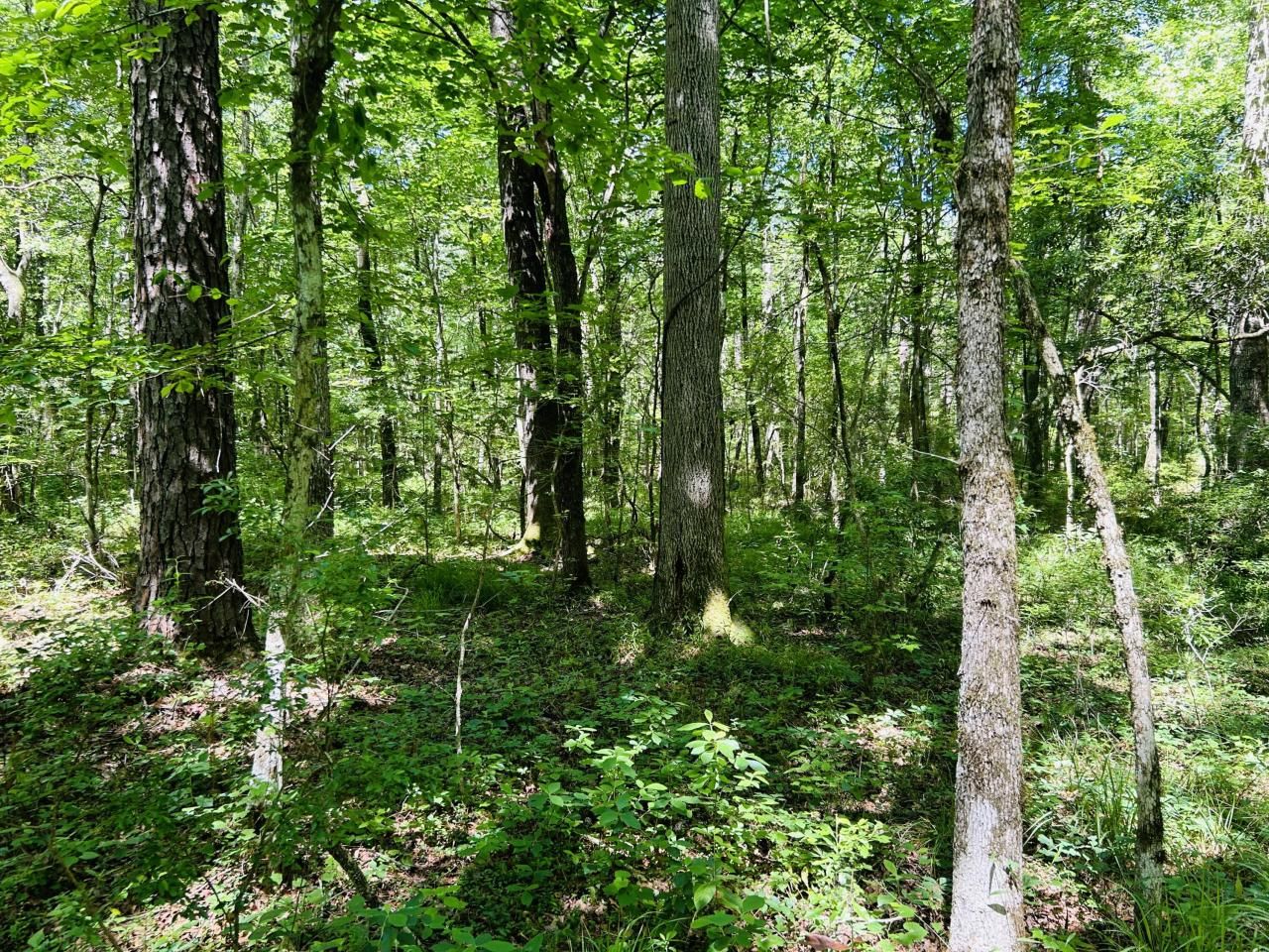 00 Fivel Lane Photo 38