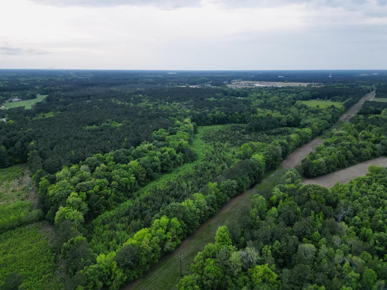 00 Fivel Lane Photo 7