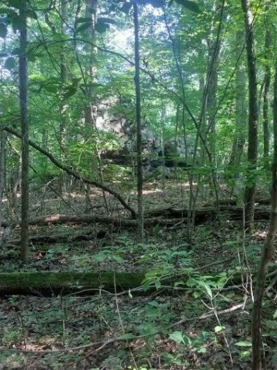 2 Boulder Drive, Dunlap, TN 37327 Main Photo