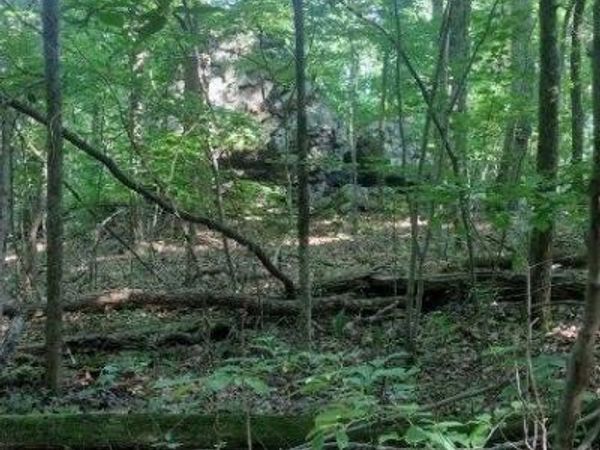 2 Boulder Drive, Dunlap, TN 37327