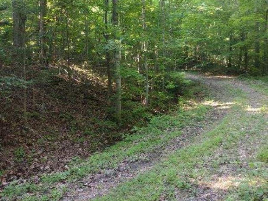 Property Image 5