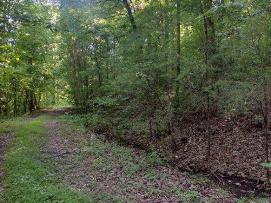 Property Image 6