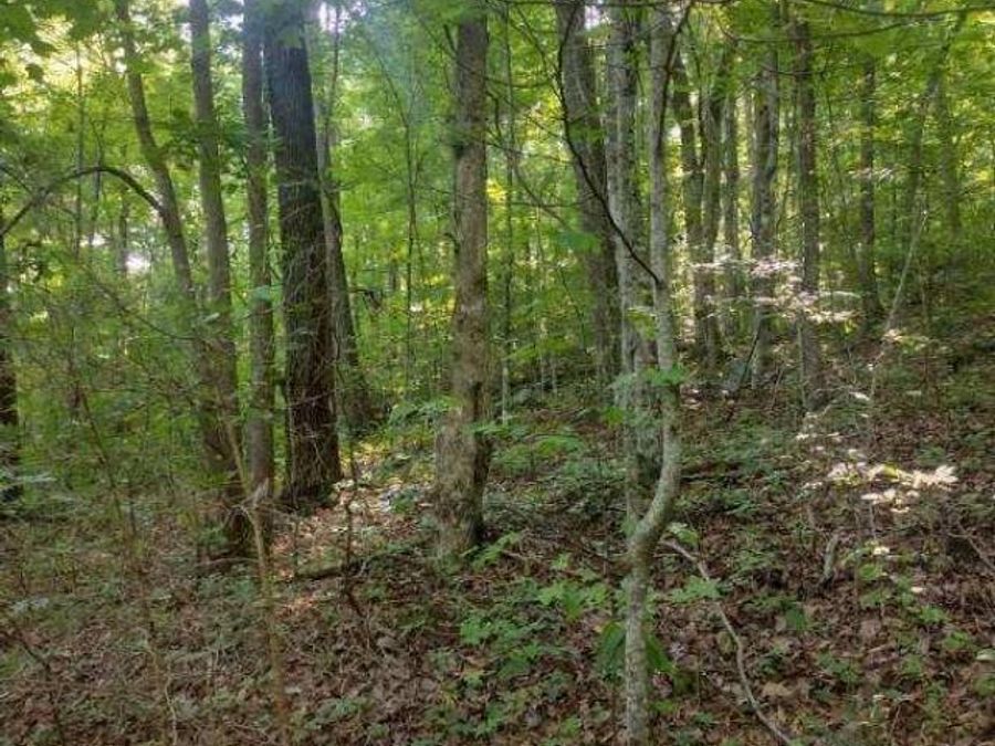 Property Image 7