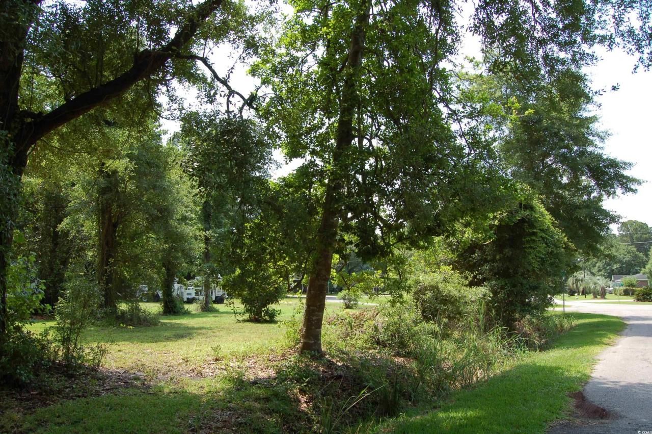 1824 Sumter St. Photo 4