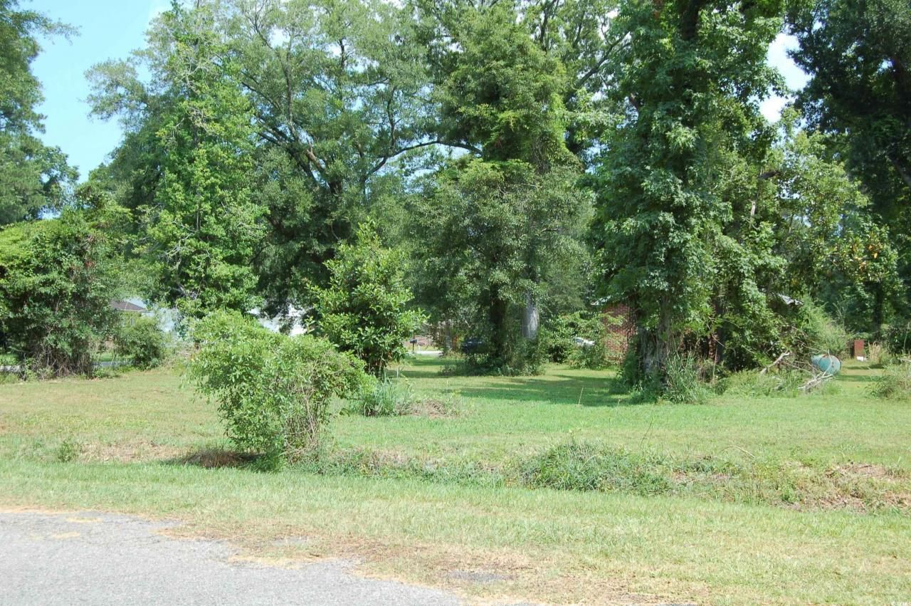 1824 Sumter St. Photo 5