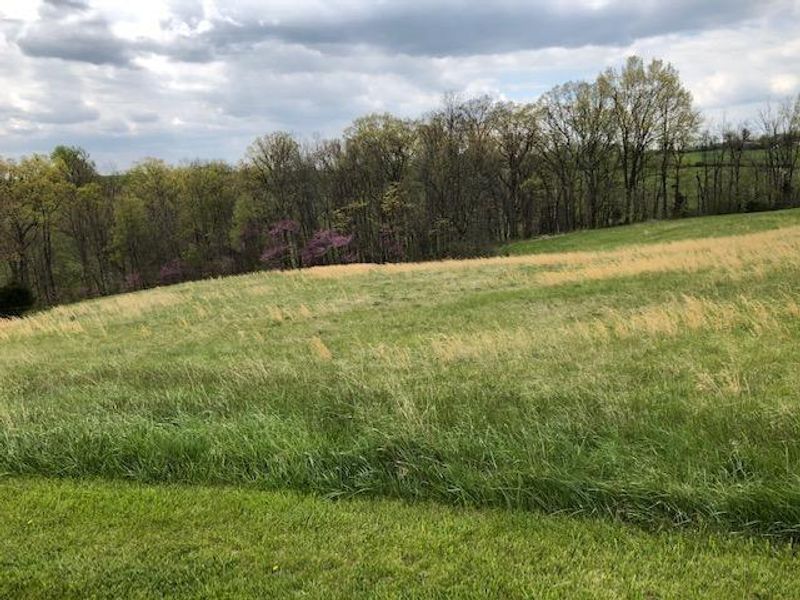0 Lot# 37 Long Ridge Lane, Owenton, KY 40359 Photo 12