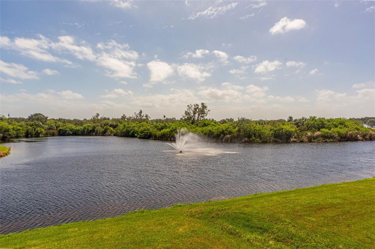 17b Franklin Court S, Saint Petersburg, FL 33711 Photo