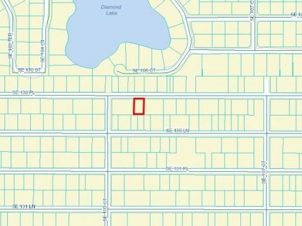 TBD SE 130TH PLACE, OCKLAWAHA, FL 32179