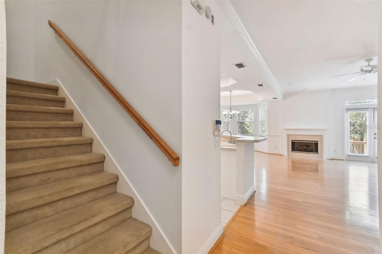 2848 Bayshore Trails Drive, Tampa, FL 33611 Photo