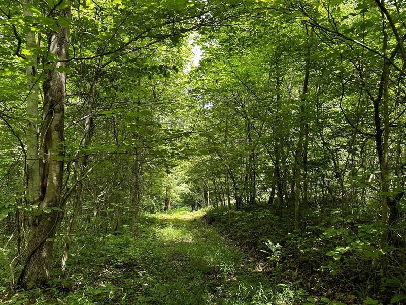 1865 Hull Road, Unit (Tract 2 W, Patriot, OH 45658 Photo 10