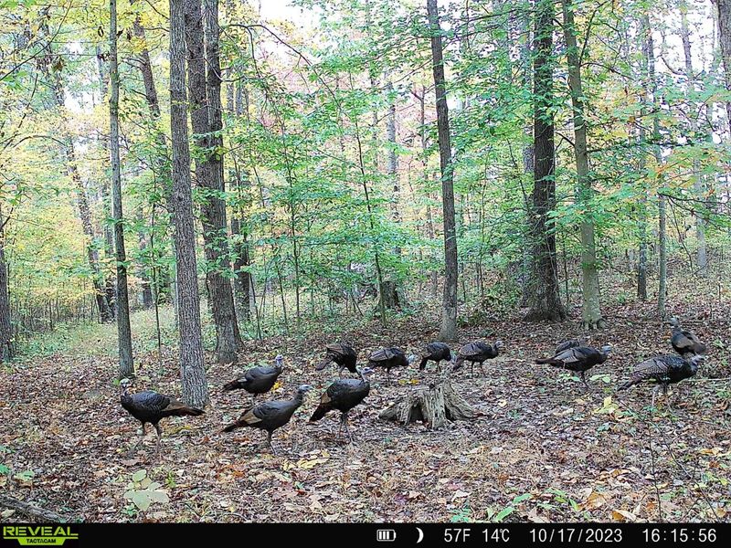 1865 Hull Road, Unit (Tract 2 W, Patriot, OH 45658 Photo 11