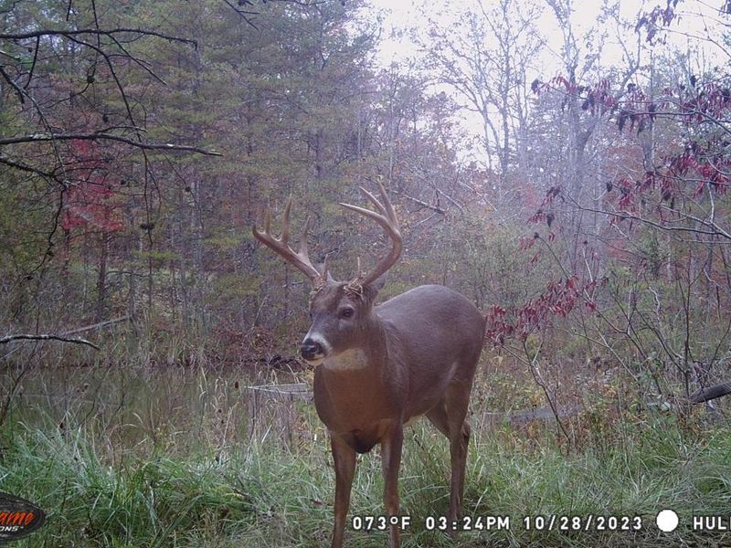 1865 Hull Road, Unit (Tract 2 W, Patriot, OH 45658 Photo 12