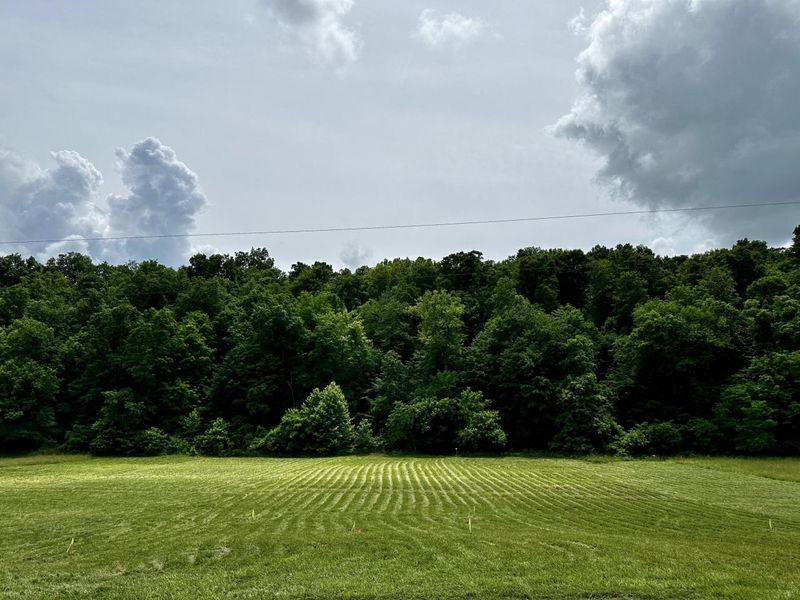 1865 Hull Road, Unit (Tract 2 W, Patriot, OH 45658 Photo 14