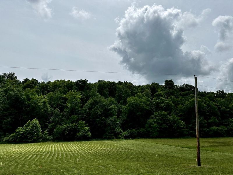 1865 Hull Road, Unit (Tract 2 W, Patriot, OH 45658 Photo 15