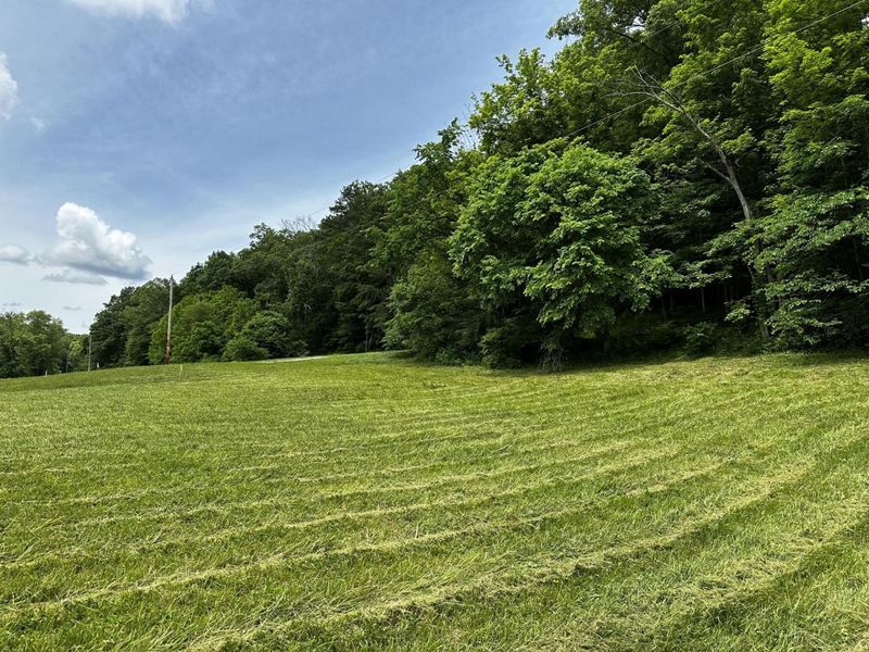 1865 Hull Road, Unit (Tract 2 W, Patriot, OH 45658 Photo 20