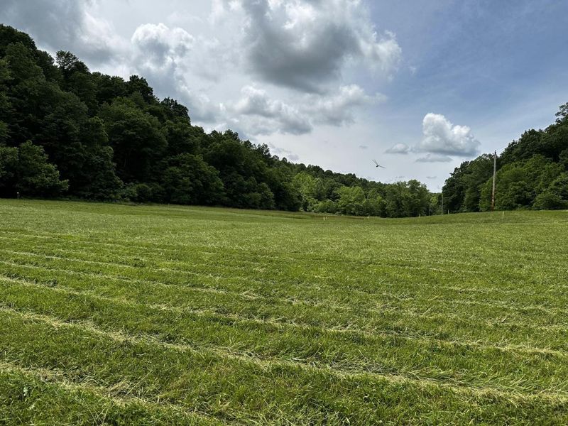 1865 Hull Road, Unit (Tract 2 W, Patriot, OH 45658 Photo 21