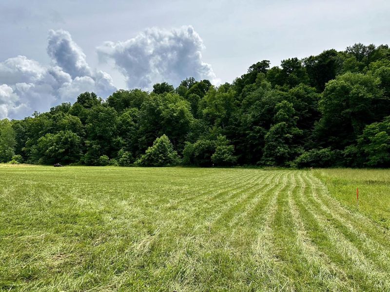 1865 Hull Road, Unit (Tract 2 W, Patriot, OH 45658 Photo 25