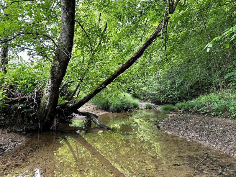 1865 Hull Road, Unit (Tract 2 W, Patriot, OH 45658 Photo 27