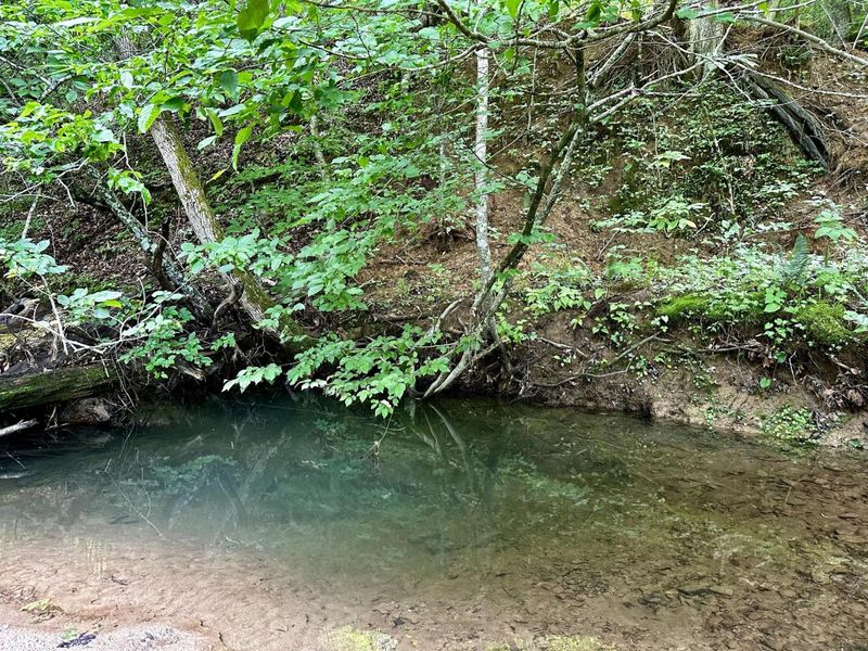 1865 Hull Road, Unit (Tract 2 W, Patriot, OH 45658 Photo 28