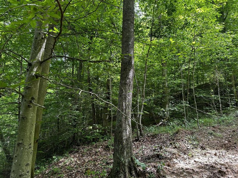 1865 Hull Road, Unit (Tract 2 W, Patriot, OH 45658 Photo 31