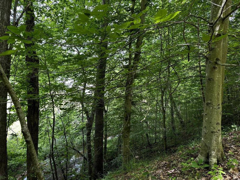 1865 Hull Road, Unit (Tract 2 W, Patriot, OH 45658 Photo 32