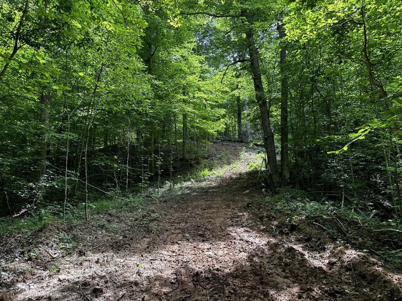 1865 Hull Road, Unit (Tract 2 W, Patriot, OH 45658 Photo 33