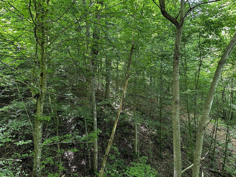 1865 Hull Road, Unit (Tract 2 W, Patriot, OH 45658 Photo 34