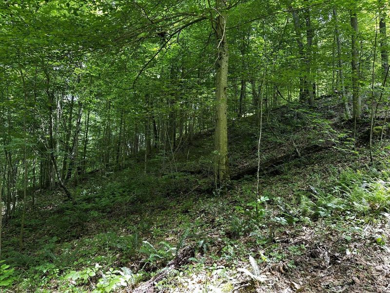 1865 Hull Road, Unit (Tract 2 W, Patriot, OH 45658 Photo 35