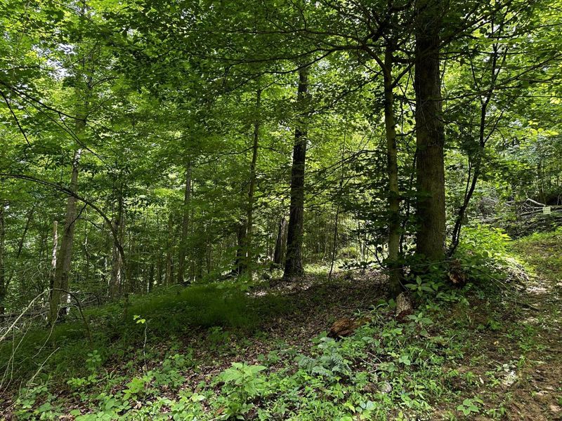 1865 Hull Road, Unit (Tract 2 W, Patriot, OH 45658 Photo 37