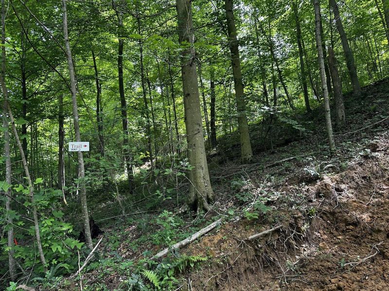 1865 Hull Road, Unit (Tract 2 W, Patriot, OH 45658 Photo 39