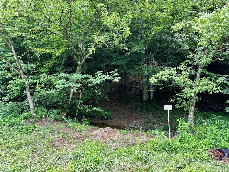 1865 Hull Road, Unit (Tract 2 W, Patriot, OH 45658 Photo 4