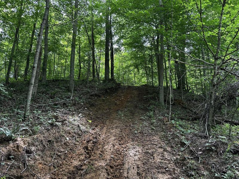 1865 Hull Road, Unit (Tract 2 W, Patriot, OH 45658 Photo 40