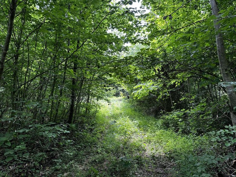 1865 Hull Road, Unit (Tract 2 W, Patriot, OH 45658 Photo 41